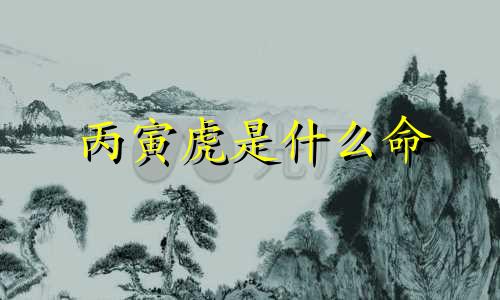 丙寅虎是什么命 丙寅虎一生运势