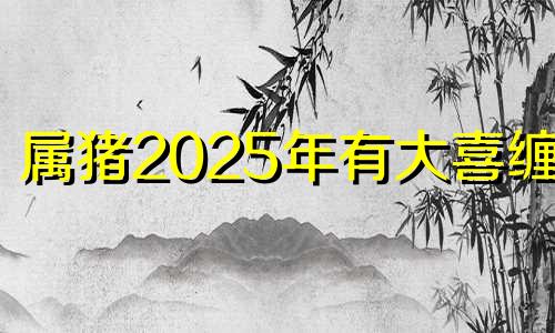 属猪2025年有大喜缠身 1995属猪女子女缘怎么样