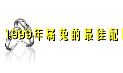 1999年属兔的最佳配偶 99年属兔女最佳丈夫属相