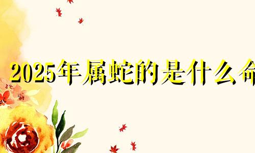 2025年属蛇的是什么命 2025年属龙的是什么命纳音属什么