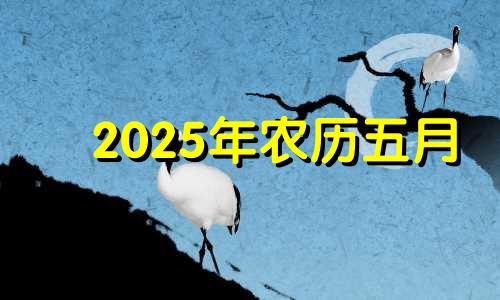 2025年农历五月 2021年农历五月能动土吗