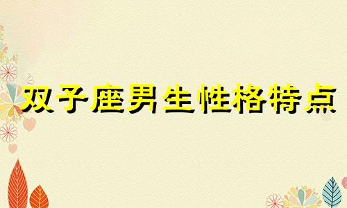 双子座男生性格特点 双子座男生会主动追喜欢的人吗