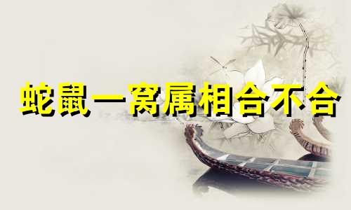 蛇鼠一窝属相合不合 蛇鼠在一起相克吗
