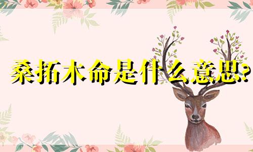 桑拓木命是什么意思? 桑拓木命运