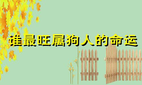 谁最旺属狗人的命运 最旺属狗人的属相