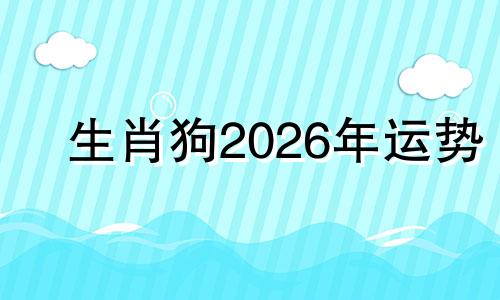 生肖狗2026年运势 2026年属狗