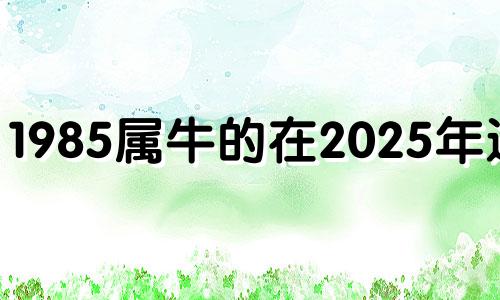 1985属牛的在2025年运气 85年属牛2025年运势及运程每月运程