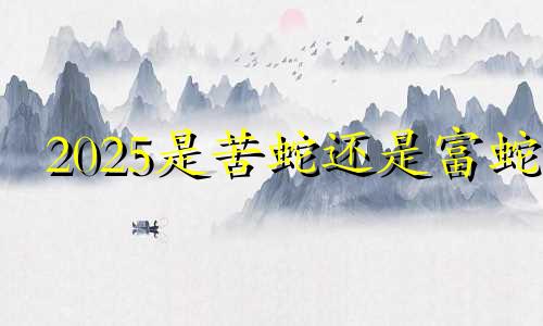 2025是苦蛇还是富蛇 2003是苦羊还是富羊