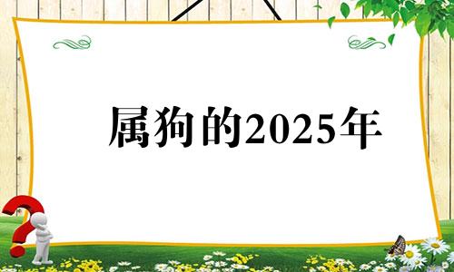 属狗的2025年 属狗2025年运势及运程每月运程狗