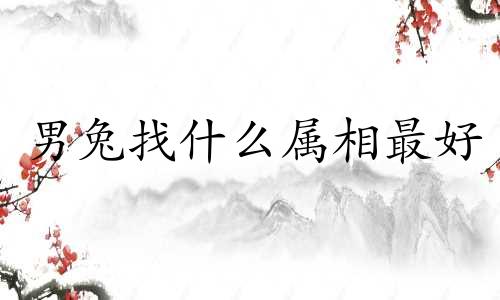 男兔找什么属相最好 99兔男孩最佳配偶表