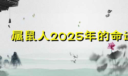 属鼠人2025年的命运 属鼠的2025年财运各方面怎么样?