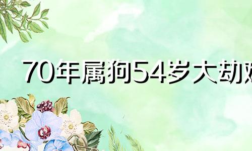 70年属狗54岁大劫难 91年属羊一生三大劫难