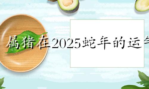 属猪在2025蛇年的运气 属猪的2025年多大