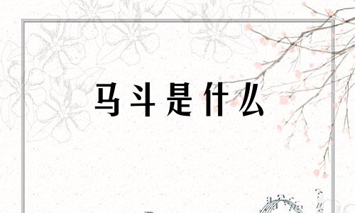 马斗是什么 牛斗马不斗