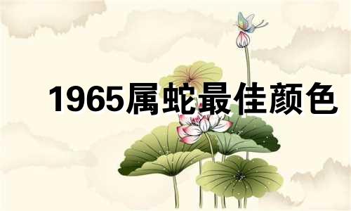 1965属蛇最佳颜色 1953年属蛇适合什么颜色