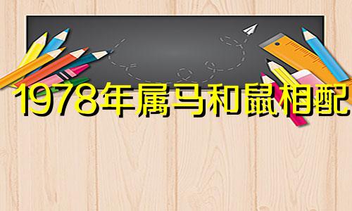 1978年属马和鼠相配吗 78属马和属鼠能够结婚吗