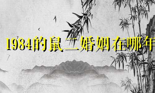 1984的鼠二婚姻在哪年 84年属鼠41岁大劫