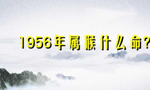 1956年属猴什么命? 1956年生肖猴什么命