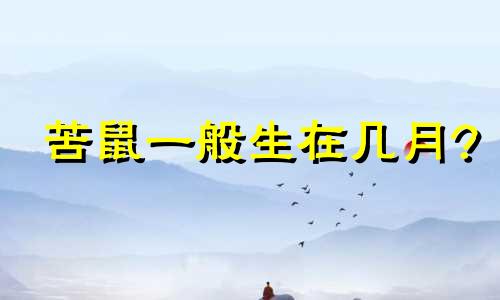 苦鼠一般生在几月? 鼠一生最克3个人