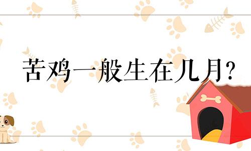 苦鸡一般生在几月? 富贵鸡一般生在几月份