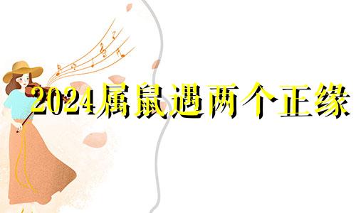 2024属鼠遇两个正缘 96年男鼠婚姻最终归宿