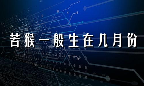 苦猴一般生在几月份 苦命猴几月生不好