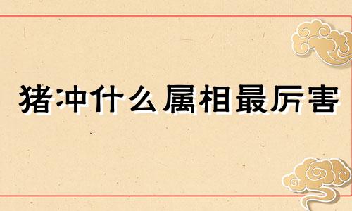 猪冲什么属相最厉害 猪不合的三个属相