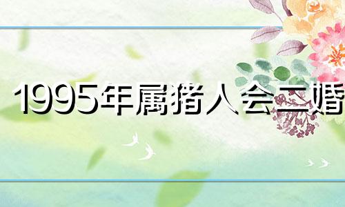 1995年属猪人会二婚吗 95年猪婚姻有几次坎坷