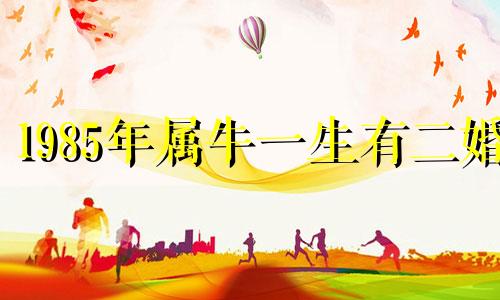 1985年属牛一生有二婚 85年牛女到40岁后财运