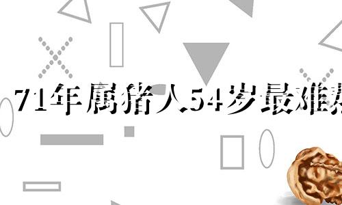 71年属猪人54岁最难熬 71年钗钏金命佩戴什么首饰好