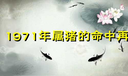 1971年属猪的命中再婚 71年属猪的命中再婚女方属什么最好