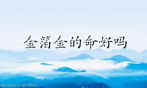 金箔金的命好吗 金箔金命理
