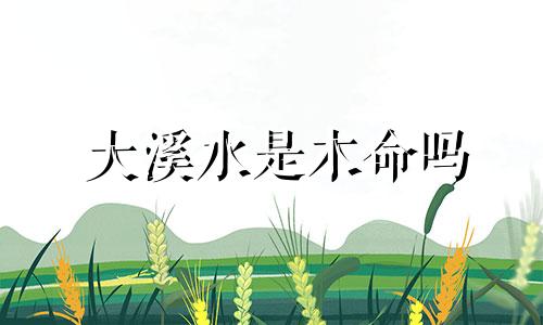 大溪水是木命吗 大溪水命的水是多还是少
