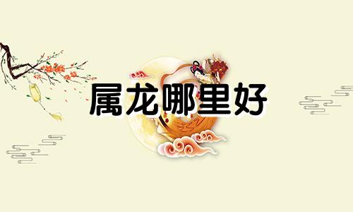 属龙哪里好 属龙人在哪方发展最好