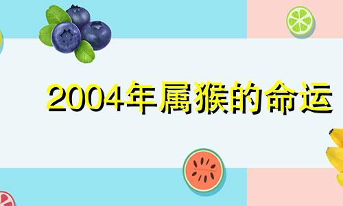 2004年属猴的命运 2004年生肖猴一生命运