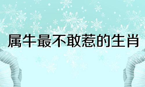 属牛最不敢惹的生肖 牛年相害生肖