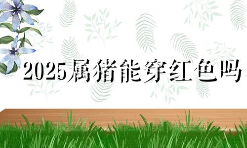 2025属猪能穿红色吗 属猪能穿红色吗吉利吗