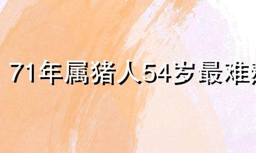 71年属猪人54岁最难熬 属猪人一般死于什么病