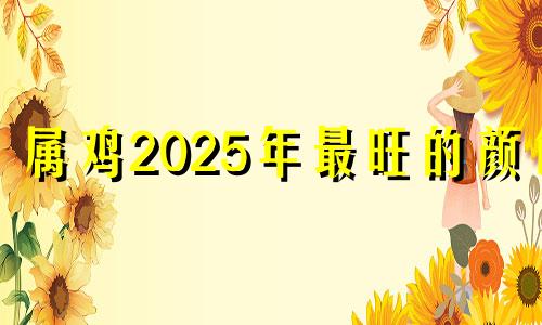 属鸡2025年最旺的颜色 属鸡一生最克3个人