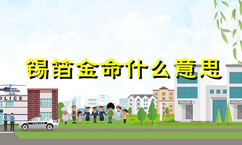 锡箔金命什么意思 金锡箔纸是金子吗