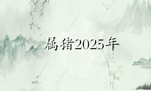 属猪2025年 2025年生肖猪
