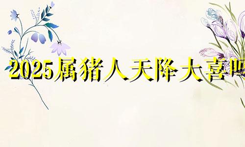 2025属猪人天降大喜吗 属猪人2025年全年运势