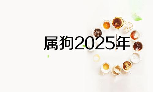 属狗2025年 属狗2025年运势及运程每月运程狗