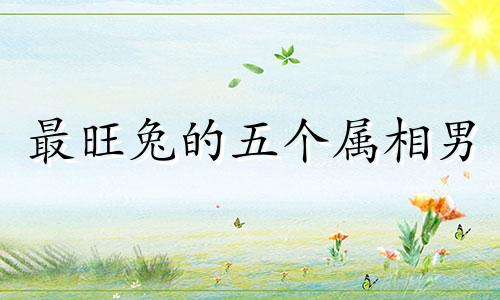 最旺兔的五个属相男 属兔人跟谁一起财运好