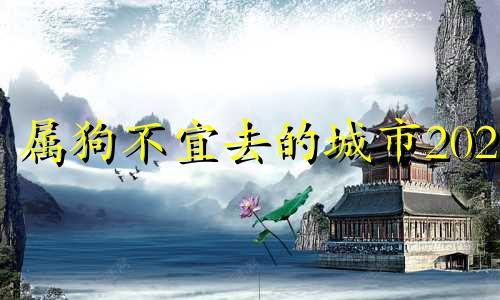 属狗不宜去的城市2025 属狗男人最佳妻子