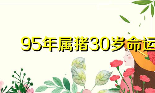 95年属猪30岁命运 95年属猪能活多少岁