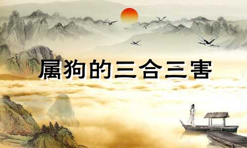 属狗的三合三害 鼠和狗生肖相冲吗
