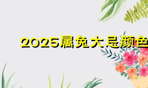 2025属兔大忌颜色 2021年属兔人可以穿红色吗