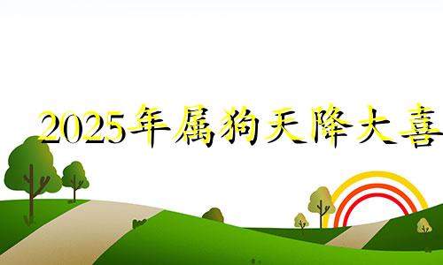 2025年属狗天降大喜 属狗2025家破人亡