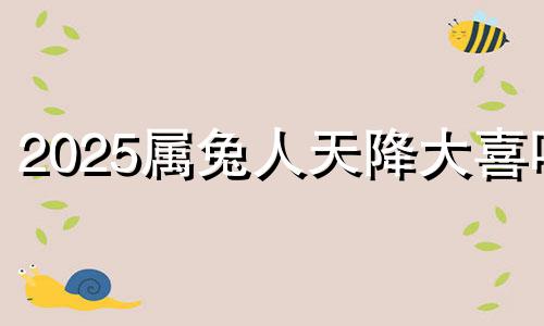 2025属兔人天降大喜吗 属兔2025年